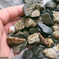 渓流石　Ｎｏ．７（１ｋｇ）　粒径１５～２５ｍｍ 2250001758860（直送品）