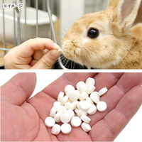 ワールドラビットファンクラブ ラブレ バニー(ナノ) うさぎ 2250001770817 1個（直送品）