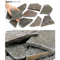 リーフ 形状お任せ 爬虫類用バスキングスポット ~ウォーム・プレート~ Mサイズ 2250002003433 1個（直送品）