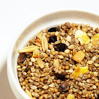 キクスイ オカメ・ラブバード専科 L 皮付き 2250002106059 1個（直送品）