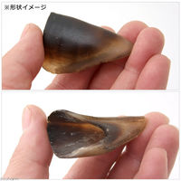 リーフ 大自然で育った蝦夷鹿のひづめ 2個 犬用 PackunxCOCOA 211837 1個（直送品）