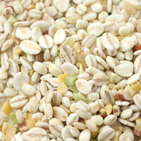 リーフ 小動物の食事 国産 15種の雑穀ミックス おやつ 212078 1個（直送品）