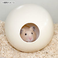 リーフ ダチョウのたまごハウス　１個　小動物のおうち　希少　ハムスター 2250002121557（直送品）