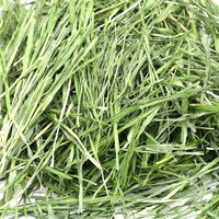 リーフ 令和5年産 国産 やみつき大麦若葉 100g 213159 1個（直送品）