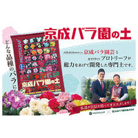 プロトリーフ 京成バラ園の土　１２Ｌ 2250002248476 1個（直送品）