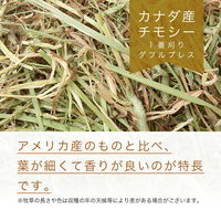 リーフ カナダ産チモシー 1番刈 ダブルプレス 3kg 231180 1個（直送品）