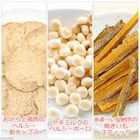 リーフ ワンちゃんのためのヘルシーおやつ3種セット Packun×COCOA 2250002318001 1セット（直送品）