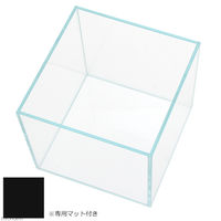 Aqullo スーパークリア 苔テラリウム アクロ２０Ｓ（２０×２０×２０） 334566 1個（直送品）