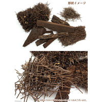 リーフ ヘゴチップ(1袋) 2250003611484 1個（直送品）