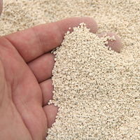 リーフ デグーの浴び砂 1L×5個 ゼオライトサンド 消臭 国産 398262 1個（直送品）