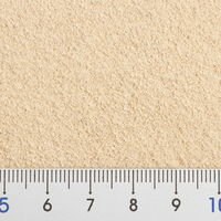 リーフ チンチラの浴び砂 1L×10個 ゼオライトサンド 消臭 国産 398268 1個（直送品）