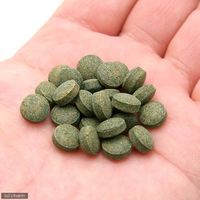 セラジャパン プランクトンタブズ 100ml(275粒)(淡水・海水用) コリドラス 餌 エサ 78142 1個（直送品）