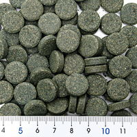 セラジャパン スピルリナタブズ 100錠 熱帯魚 エサ 4001942009409 1個（直送品）