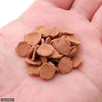 セラジャパン ビーパチップス 250ml(90g) コリドラス 餌 エサ 4001942005159 1個（直送品）