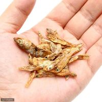 セラジャパン ラフィローヤル 1000ml (220g) 爬虫類 カメ 4001942017367 1個（直送品）