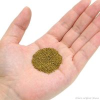 セラジャパン グッピーグラン 250ml グッピー 顆粒 4001942007115 1個（直送品）