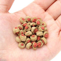 セラジャパン レプタイルプロ 肉食性用 1000mL(330g) 爬虫類 カメ 4001942018227 1個（直送品）