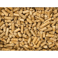 レッテンマイヤージャパン キャッツベスト　ユニバーサル　固まらない 4002973000625 1個（直送品）