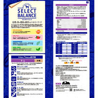 ベッツ・チョイス・ジャパン アダルト ラム小粒 4541851006095 1個（直送品）