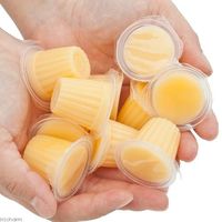 ジクラ アギト爬虫類万能ゼリー 30個入 陸ガメ用 4560113590370 1個（直送品）