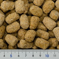 ジクラ アギト デグー専用 フェリーチェフード 500g 107855 1個（直送品）