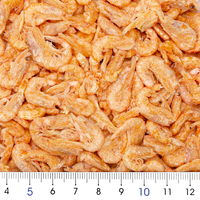 テトラ クリルトロピカル 100g 大型魚 アロワナ 4560147390151 1個（直送品）