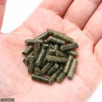 紅蜂シュリンプ レッドビー アンビシャス（Ｒｅｄ ｂｅｅ 86123 1個（直送品）