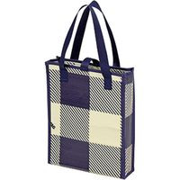 キャプテンスタッグ クッションレジャーシート90×180cm ギンガムチェック ピン4本付 UB-3061 1個