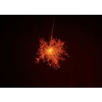 キャプテンスタッグ スタンド ガスチャッカー ブラック UF-0024 1個