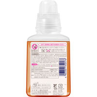 ナノックス ワン（NANOX one）スタンダード 本体 380g 1個 洗濯 洗剤 ライオン