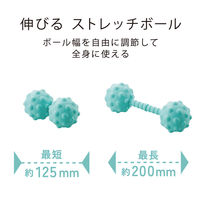 ストレッチボール 伸びる 凸タイプ ソフト 直径6cm球 ライトブルー HCK-PBTRSBUL エレコム 1個