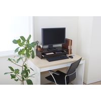 ファミリー・ライフ モニタースタンド トレー付 幅590×奥行273×高さ130mm ホワイト 0383230 1台（直送品）