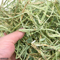 リーフ ワシントン産アルファルファ 1番刈 チャック袋 3kg(500g×6袋) 23916 1個（直送品）