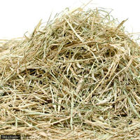 リーフ バミューダヘイ チャック袋 1kg(250g×4袋) 23855 1セット（直送品）