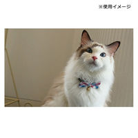 アモワークス 首輪 キュートチェック S ブルー 107926 1個（直送品）