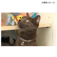 アモワークス 首輪 クラウンチェック S ベージュ 107904 1個（直送品）