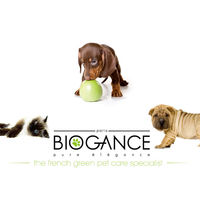 INO バイオガンス エクストラボリュームコンディショナー ２５０ｍｌ 335706 1個（直送品）