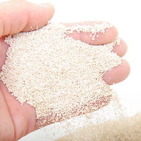 リーフ デグーの浴び砂 細かめ 1L×5個 ゼオライトサンド 消臭 国産 897500 1個（直送品）