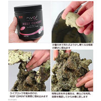 ゼンスイ ニオス リーフセメント 4934743011268 1個（直送品）