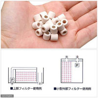 太平洋セメント カスタム ハードタイプ(微アルカリ性・海水、淡水用)Sサイズ 52267 1個（直送品）