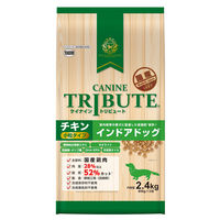 イースター ケイナイン・トリビュート チキン小粒インドアドッグ 4970768116175 1個（直送品）