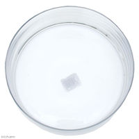 カミハタ グラスウェア シリンダータイプ L 4971664626003 1個（直送品）