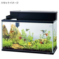 ニッソー スライドプラスフィルター 450 4975637205974 1個（直送品）