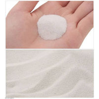 ニッソー ワイルドプラネット WPホワイトサンド 4975637474714 1個（直送品）