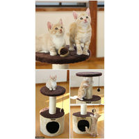 ドギーマンハヤシ キャティースクラッチリビング コンパクトルーム 4976555841305 1個（直送品）