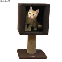 ドギーマンハヤシ モダンルーム コンパクトにゃボックス 4976555841954 1個（直送品）