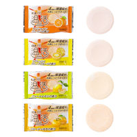 薬用入浴剤ノボピン温活 柑橘の恵み 100錠（4種×各25錠） 088563 1個 紀陽除虫菊