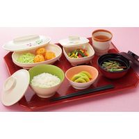 三信化工 ABSトレイ 長方形 朱石目 Q-5-SIM 1枚（直送品）