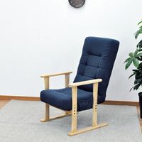 エイ・アイ・エス リラックス高座椅子 ブルー SPTZ-600 BL 1脚（直送品）