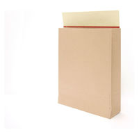 ネクスタ 開封テープ付き宅配袋 茶 小（260×320×80mm） 1セット（100枚：10枚入×10パック）